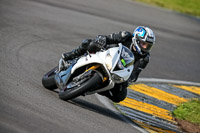 PJ-Motorsport-2019;anglesey-no-limits-trackday;anglesey-photographs;anglesey-trackday-photographs;enduro-digital-images;event-digital-images;eventdigitalimages;no-limits-trackdays;peter-wileman-photography;racing-digital-images;trac-mon;trackday-digital-images;trackday-photos;ty-croes